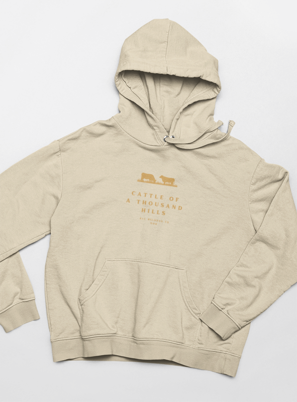The Abundance Daily Hoodie