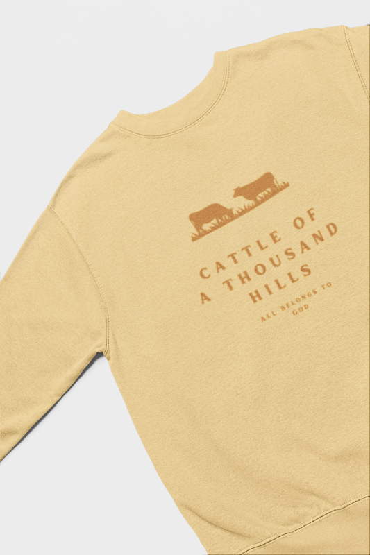 The Abundance Daily Sweatshirt