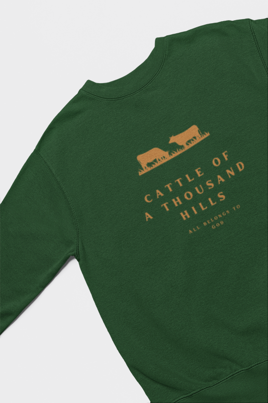 The Abundance Daily Sweatshirt