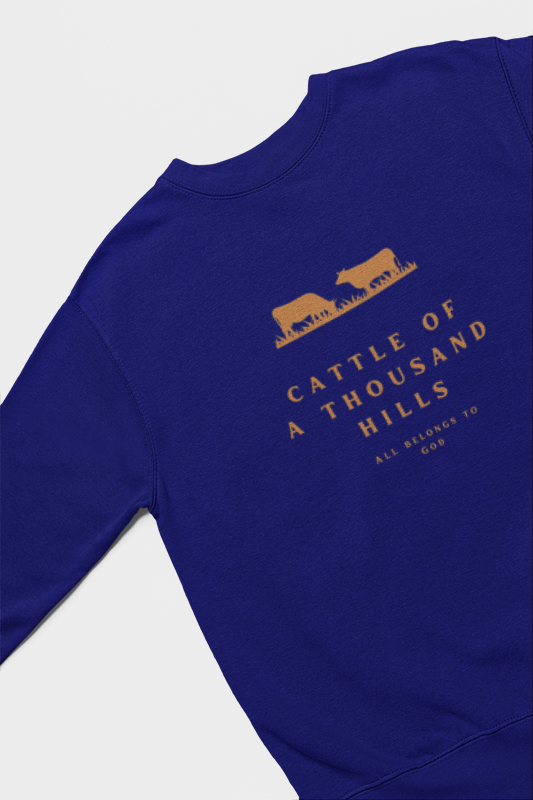 The Abundance Daily Sweatshirt