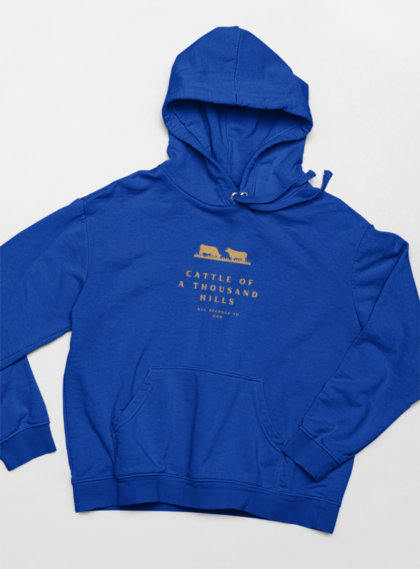 The Abundance Daily Hoodie