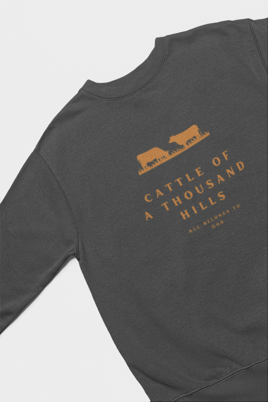 The Abundance Daily Sweatshirt