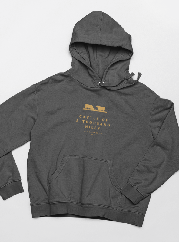 The Abundance Daily Hoodie