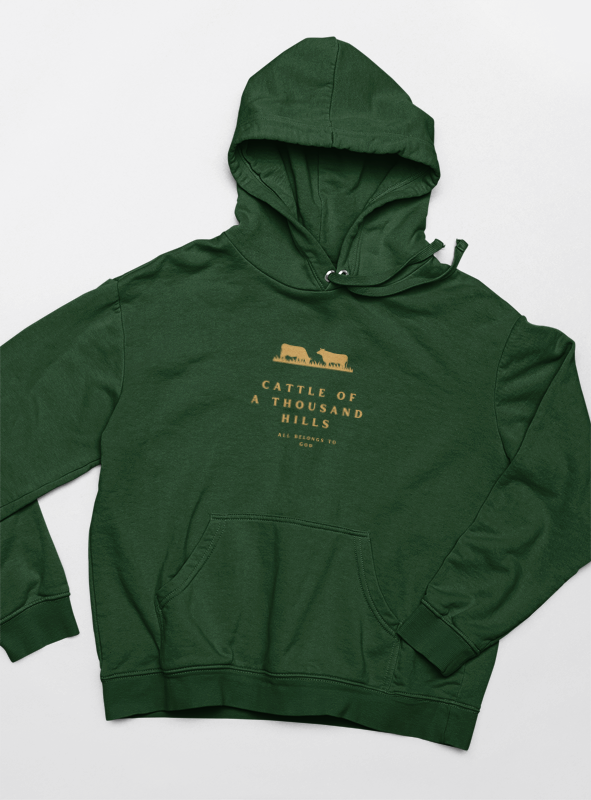The Abundance Daily Hoodie