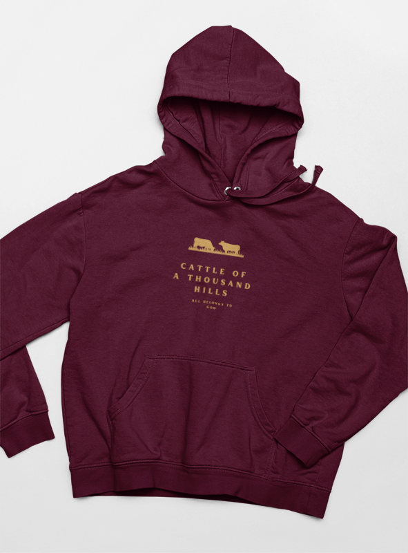 The Abundance Daily Hoodie