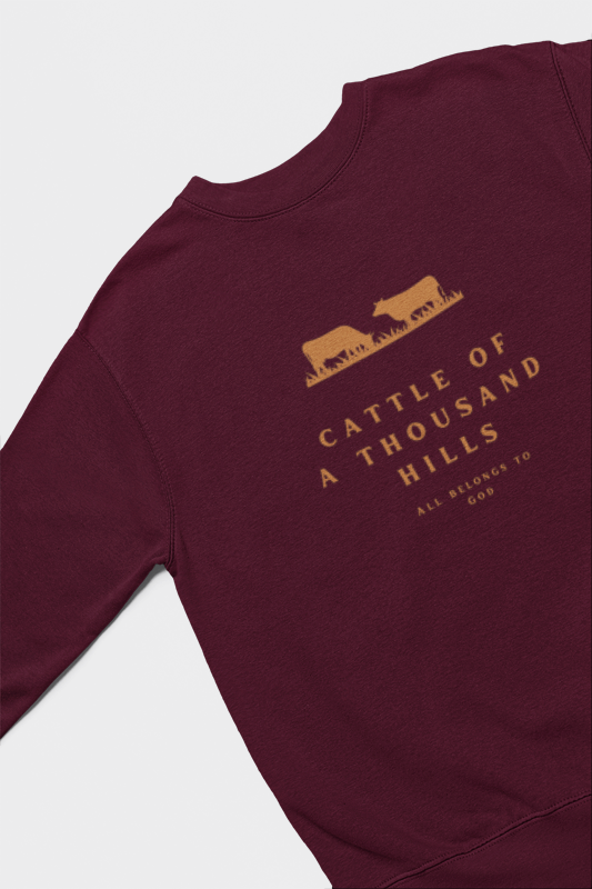 The Abundance Daily Sweatshirt