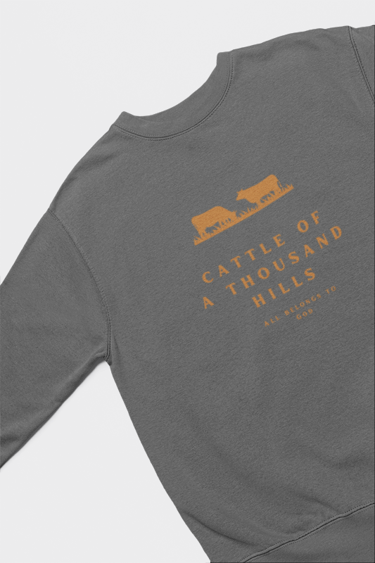 The Abundance Daily Sweatshirt