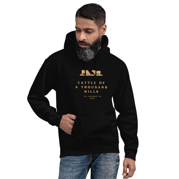 The Abundance Daily hoodie faith-inspired design