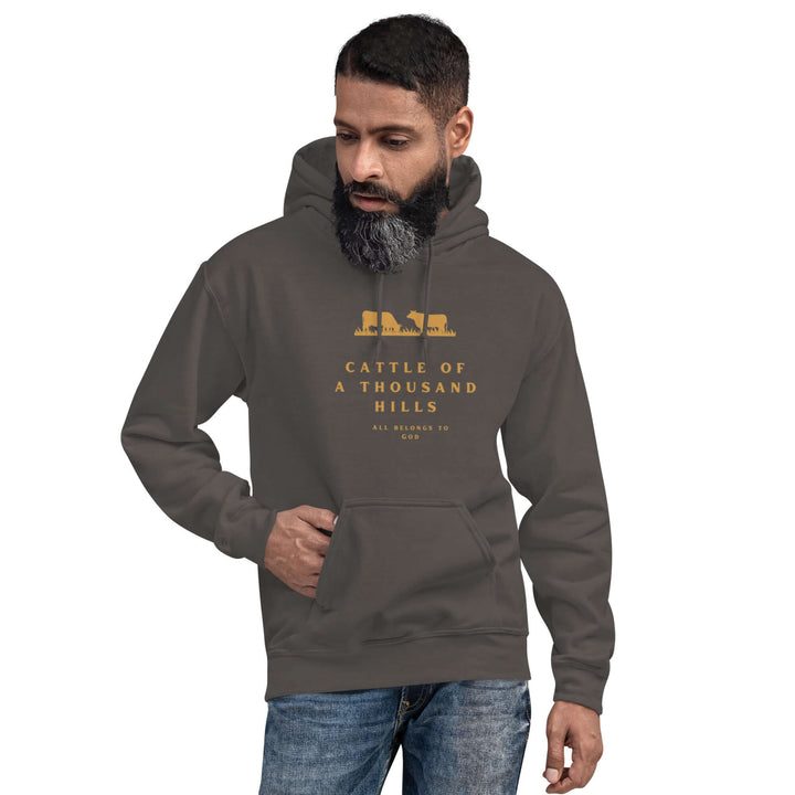 Premium Christian hoodie with faith-based typography