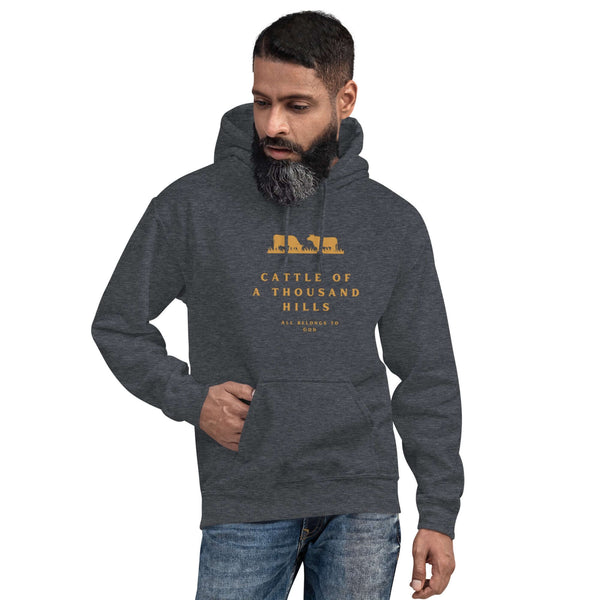 Everyday Christian hoodie expressing faith and trust