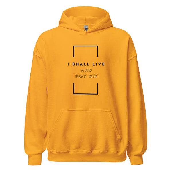 Worship-inspired Christian hoodie with faith declaration