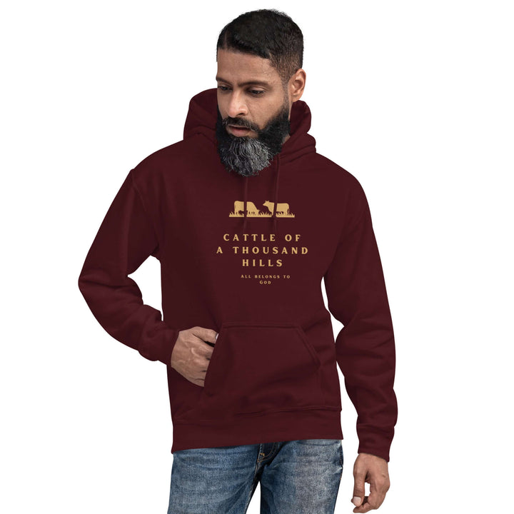 Faith-based hoodie with biblical abundance message