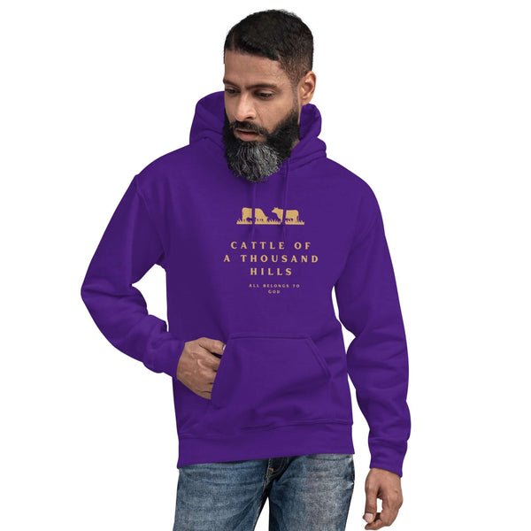 Worship-inspired Christian hoodie with scripture wording