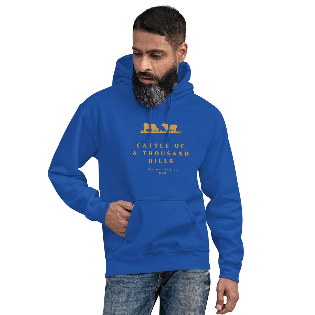 Christian lifestyle hoodie with abundance-themed message