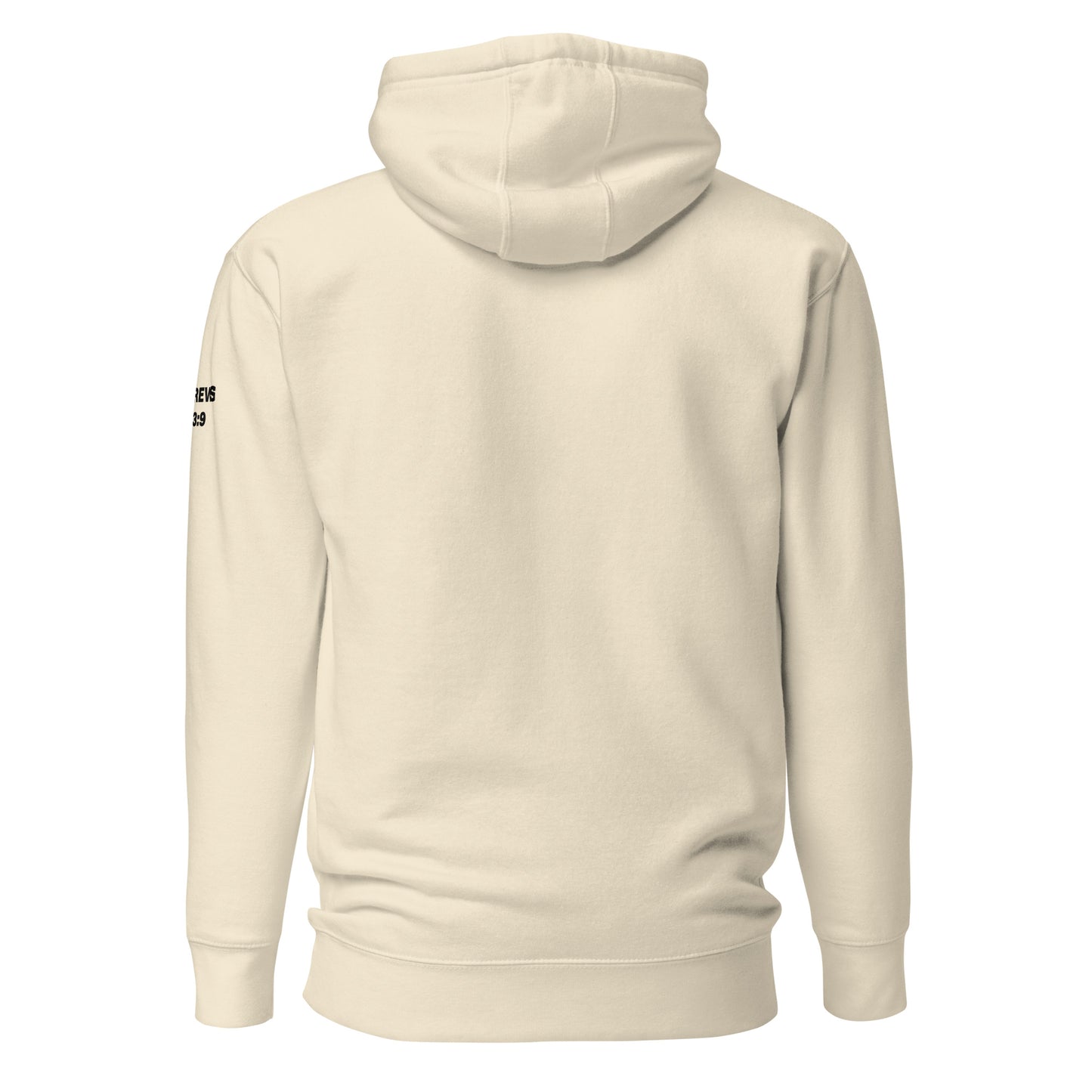 Established by Grace - Hebrews 13:9 Hoodie