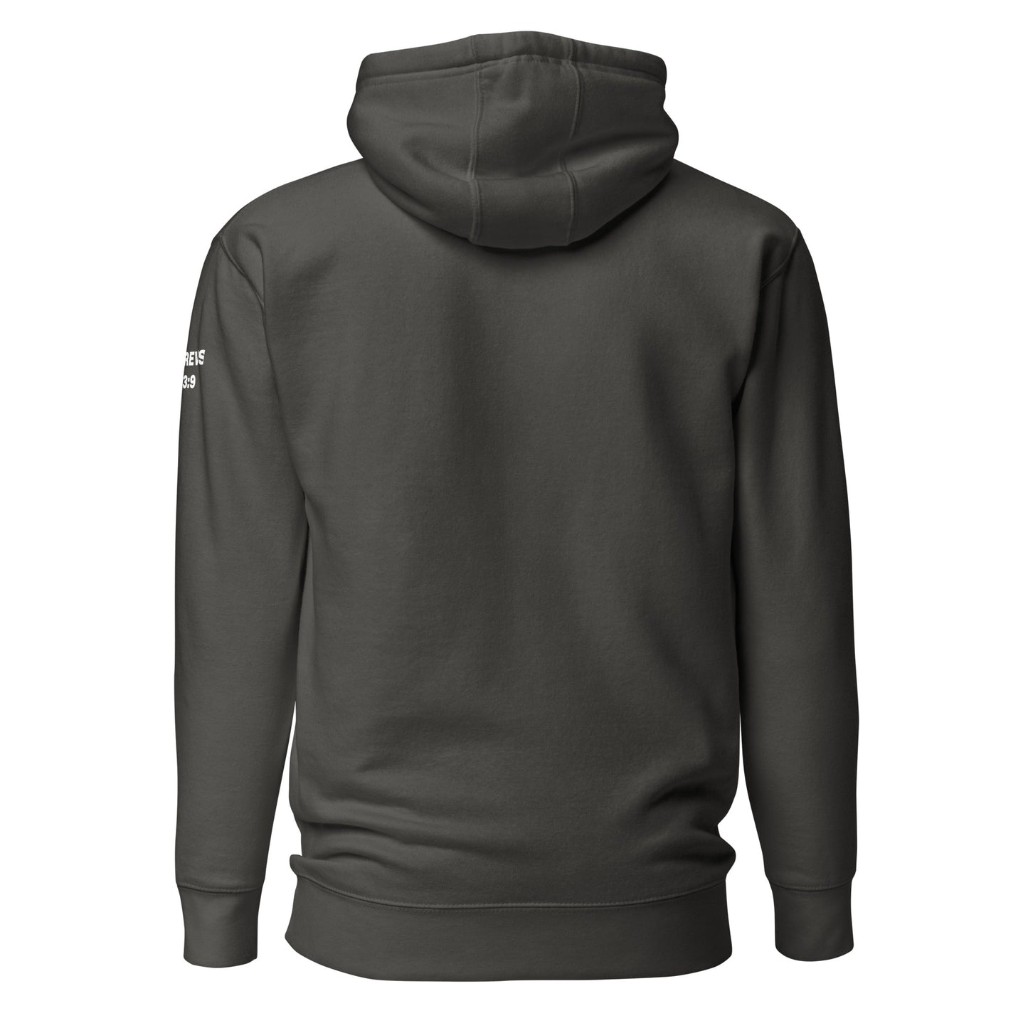 Established by Grace - Hebrews 13:9 Hoodie