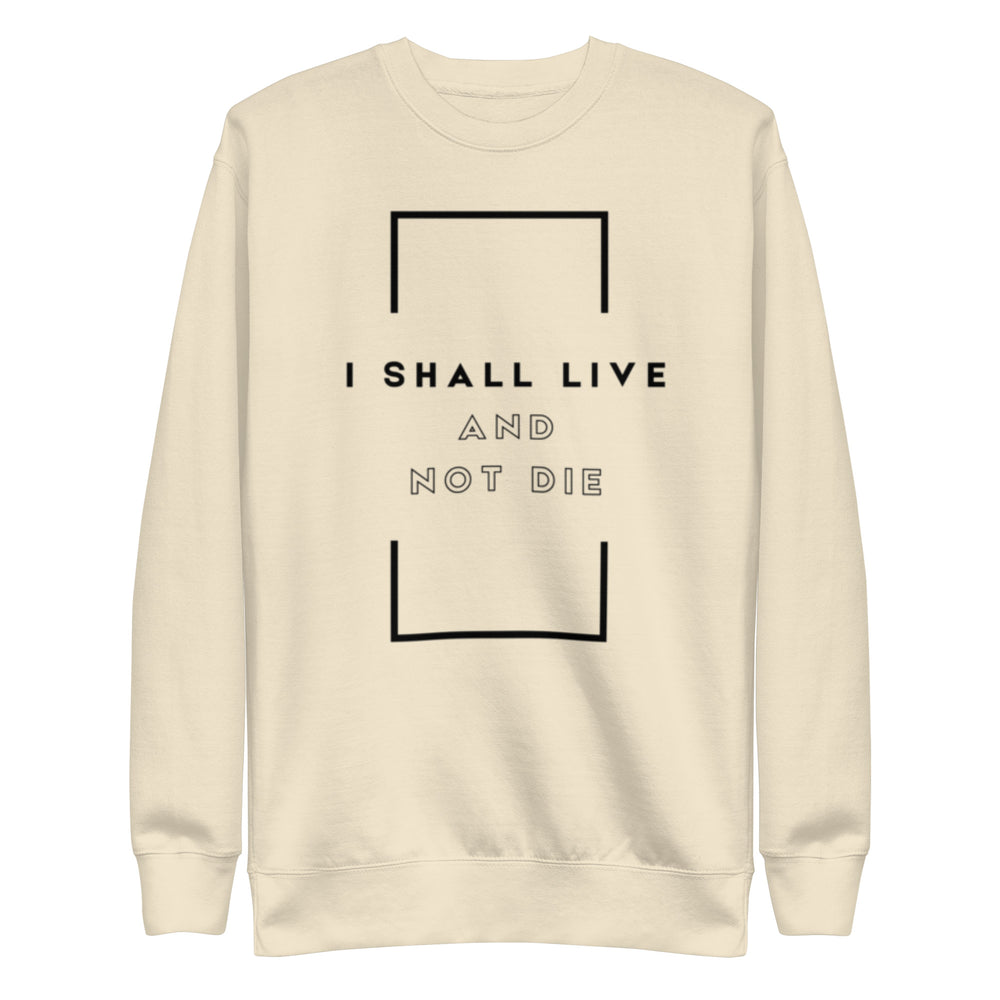 Worship-inspired Christian sweatshirt with biblical wording