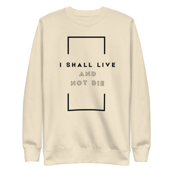 Worship-inspired Christian sweatshirt with biblical wording