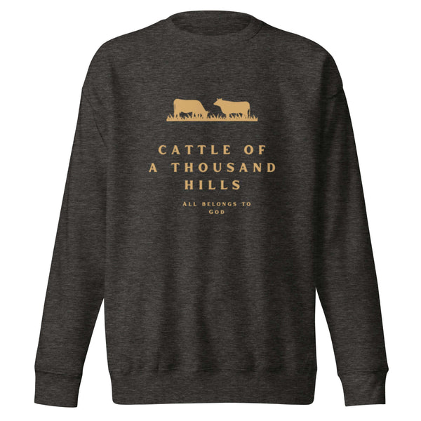 Faith-based sweatshirt with biblical abundance message