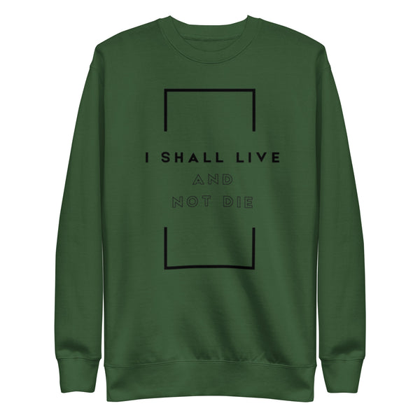Christian sweatshirt inspired by Psalm declaration