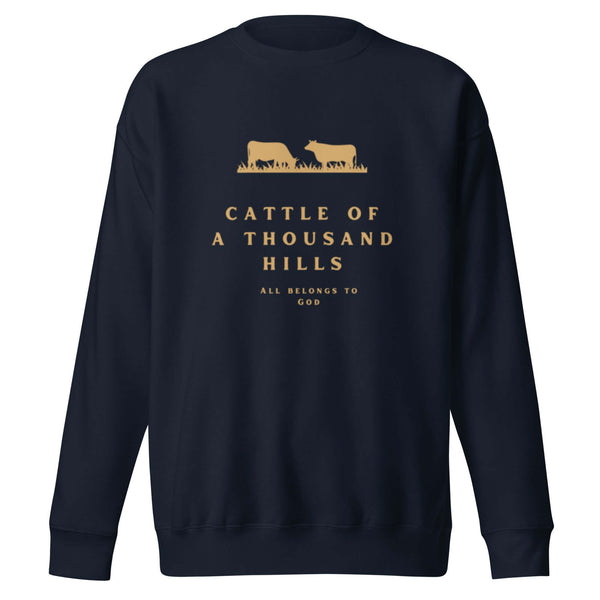 Scripture-inspired Christian sweatshirt about God’s abundance
