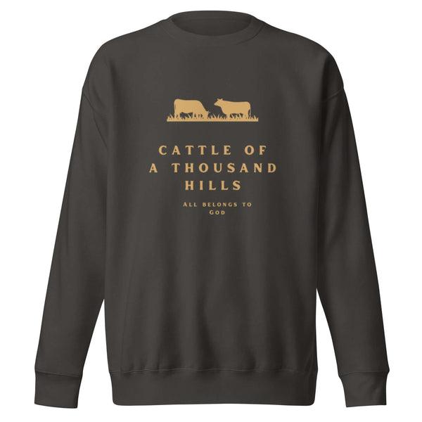 Premium Christian sweatshirt with worship-inspired typography